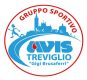 gs avis treviglio